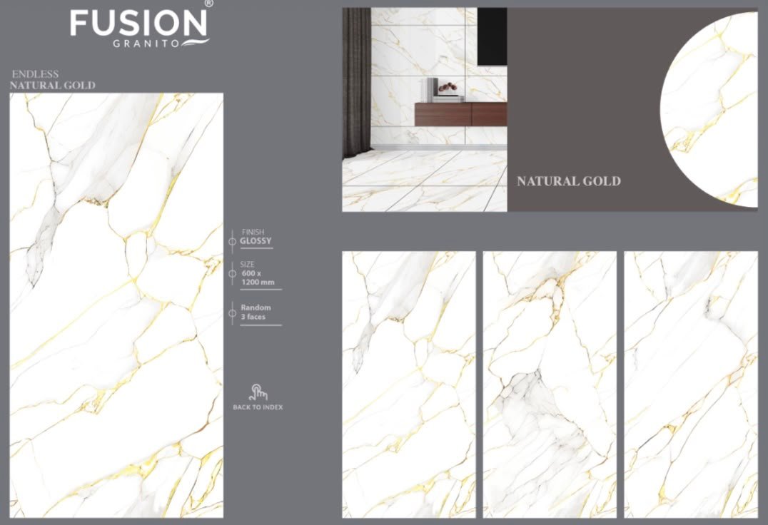 Premium Wood Look Porcelain Tiles in Moga - Dhammu and Company